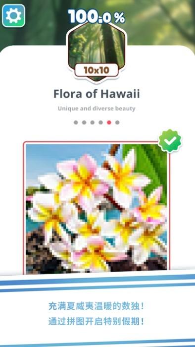 无字谜夏威夷游戏(nonogramdayhawaii)下载,无字谜夏威夷,解谜游戏,益智游戏
